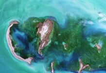 AdTechCares Partners with Project Drawdown to Launch Climate Action Campaign